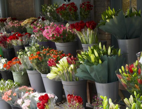 8 rzeczy, o których w kwiaciarni nam nie powiedzą