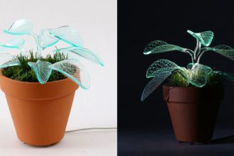 florystyczne inspiracje
