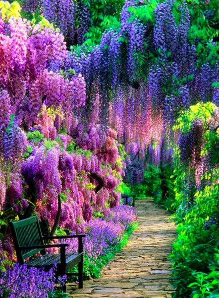 najpiękniejsze ogrody świata