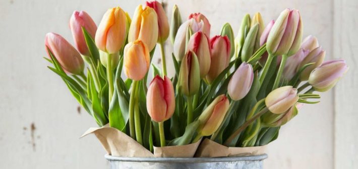 Triki dzięki którym przedłużysz świeży wygląd tulipanów.